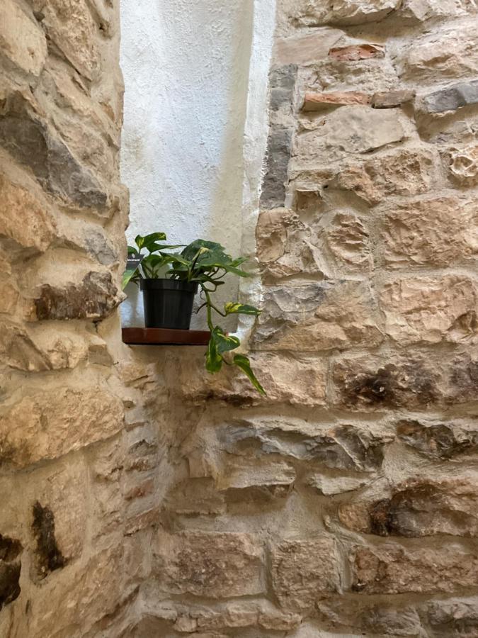 Place Aux Herbes Apartment Nimes Luaran gambar